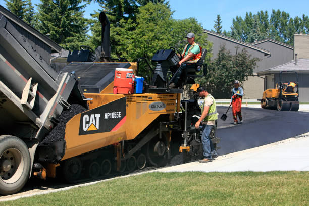 Best Driveway Paving Contractor  in Williamstown, PA