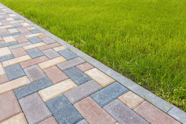 Best Driveway Repair Near Me  in Williamstown, PA